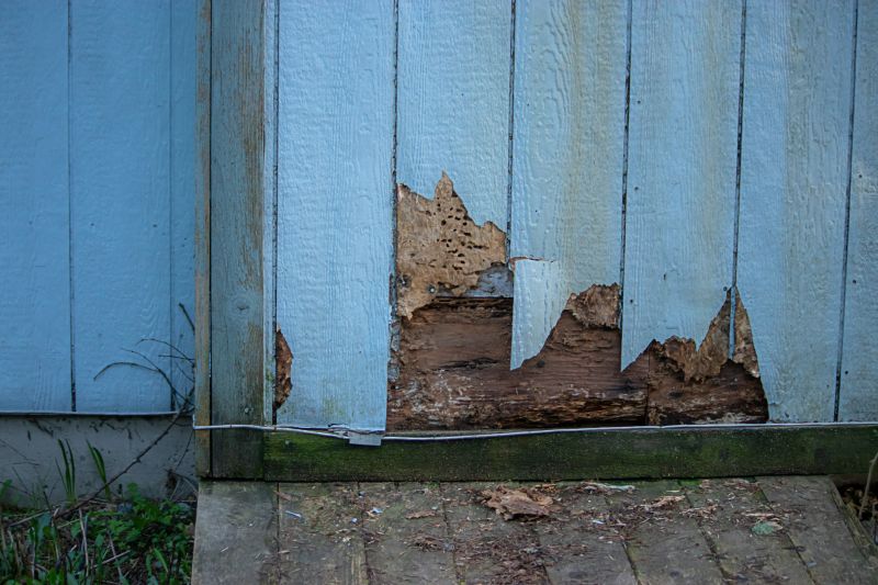 Exterior Wood Siding Repair